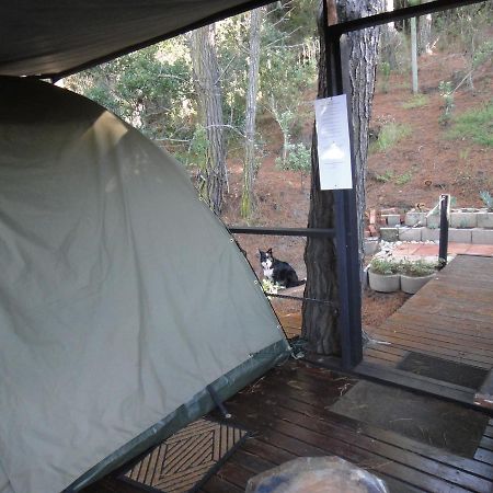 Eagles' Call Cottages And Tent Wilderness Exterior photo